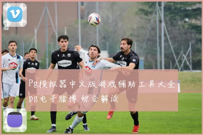 Pg模拟器中文版游戏辅助工具大全pg电子赌博 综合解读