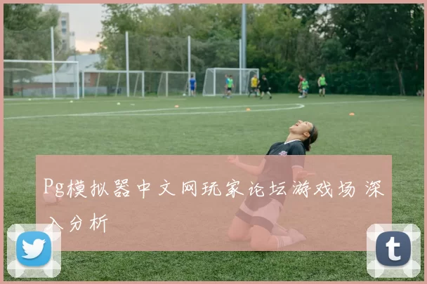 Pg模拟器中文网玩家论坛游戏场 深入分析