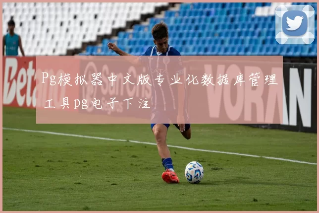 Pg模拟器中文版专业化数据库管理工具pg电子下注