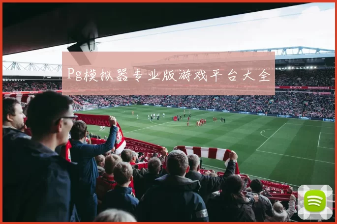 Pg模拟器专业版游戏平台大全