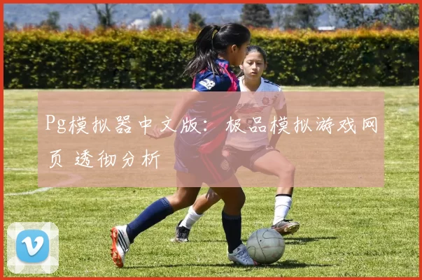 Pg模拟器中文版：极品模拟游戏网页 透彻分析