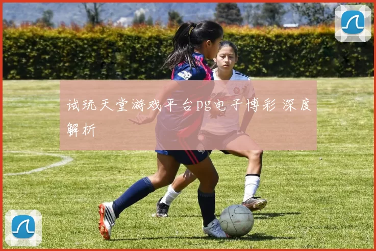 试玩天堂游戏平台pg电子博彩 深度解析