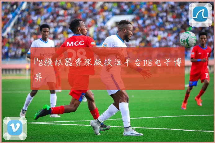 Pg模拟器资深版投注平台pg电子博弈