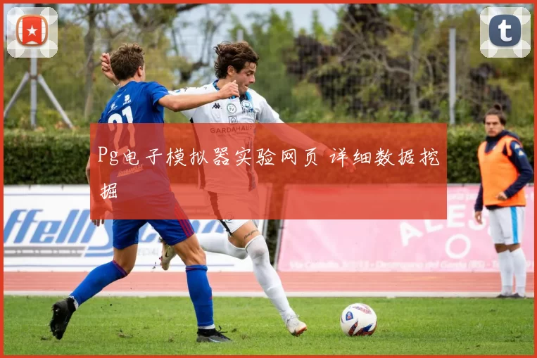 Pg电子模拟器实验网页 详细数据挖掘