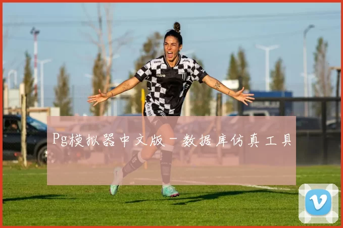 Pg模拟器中文版 - 数据库仿真工具