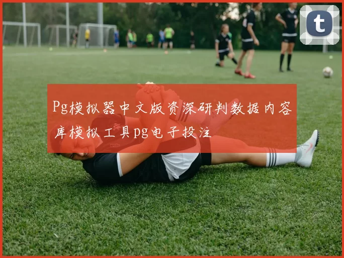 Pg模拟器中文版资深研判数据内容库模拟工具pg电子投注