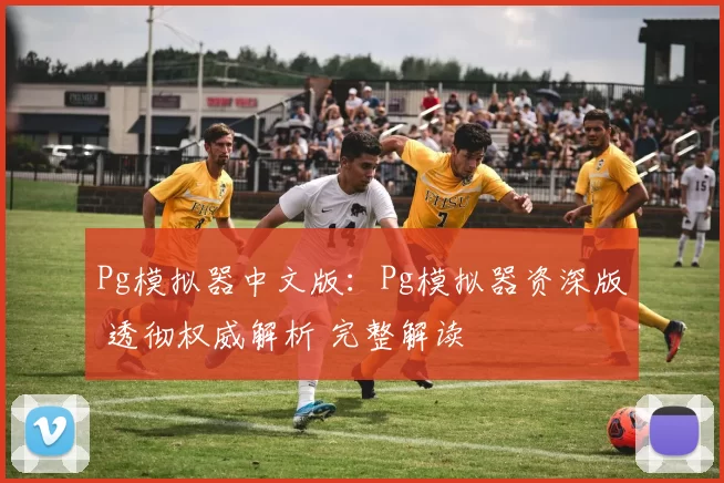 Pg模拟器中文版：Pg模拟器资深版 透彻权威解析 完整解读