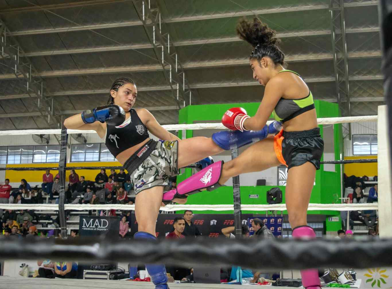 Pg模拟器中文版游戏网页pg电子下注落注